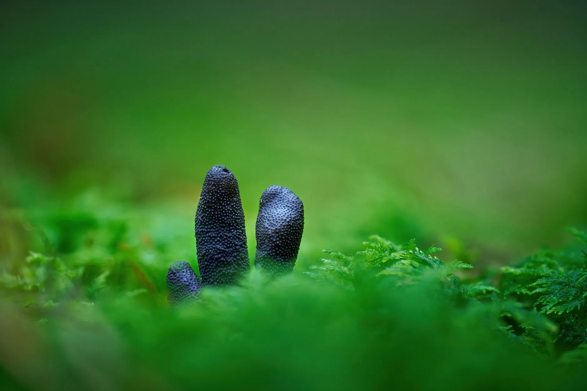 深圳工业厂房机电安装工程全过程质量控制要点分析