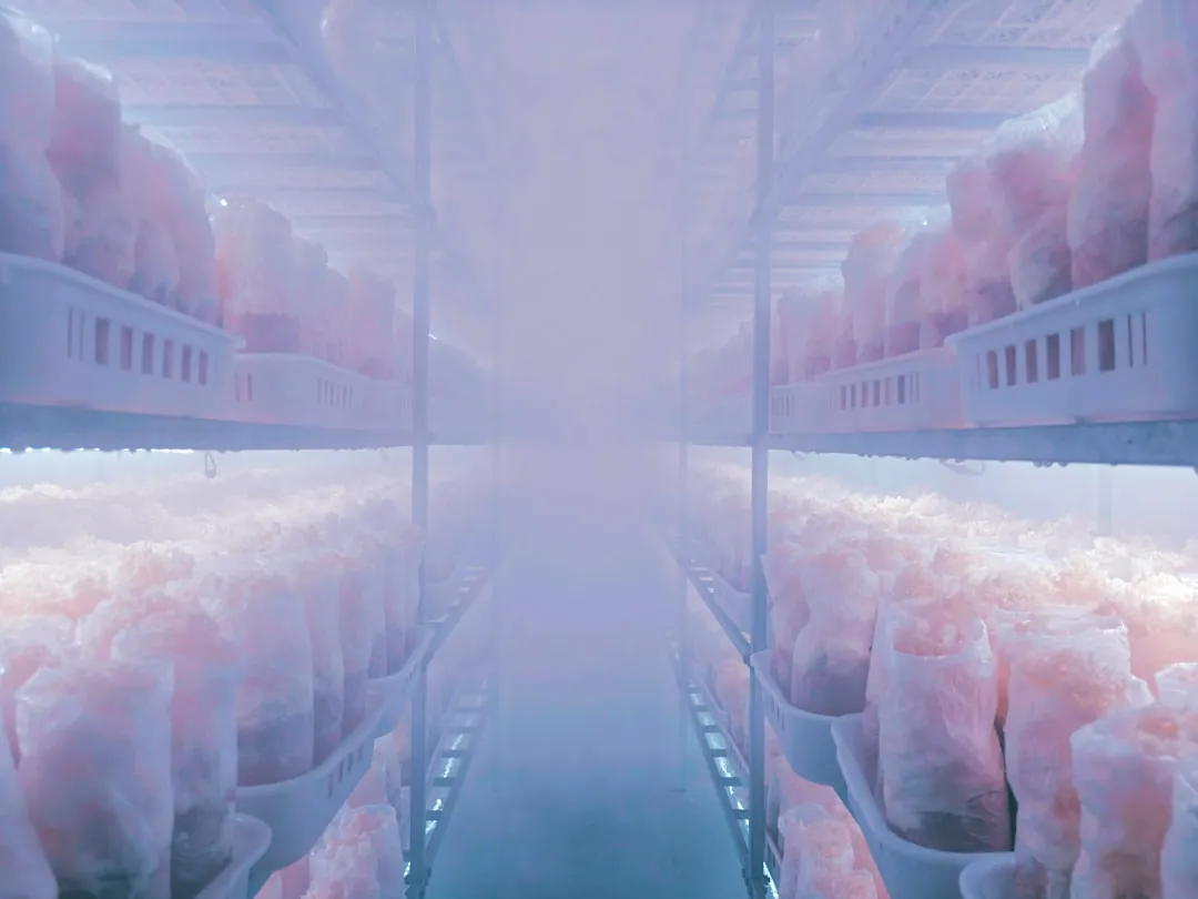 深圳工业厂房机电安装施工质量管控要点解析